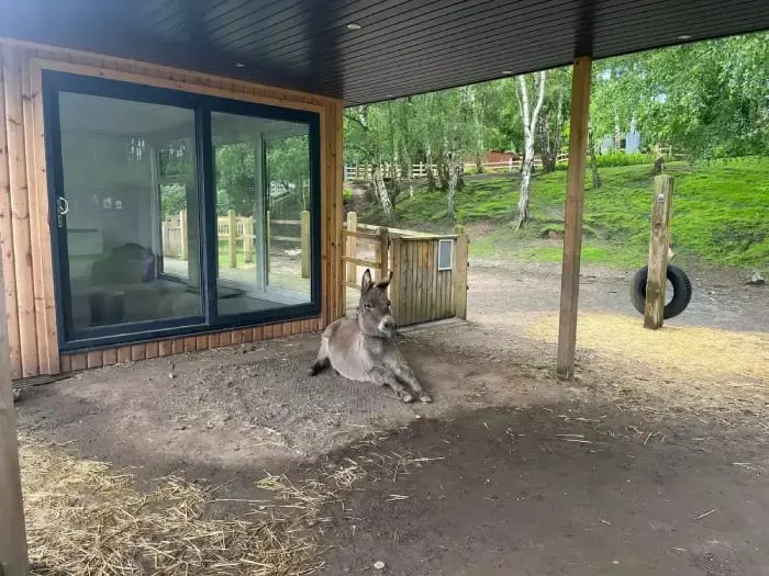 Cabins for Schools 5m x 3.5m Redwood, 5m Veranda - Portland College - AMA pics with Donkey 2024_2