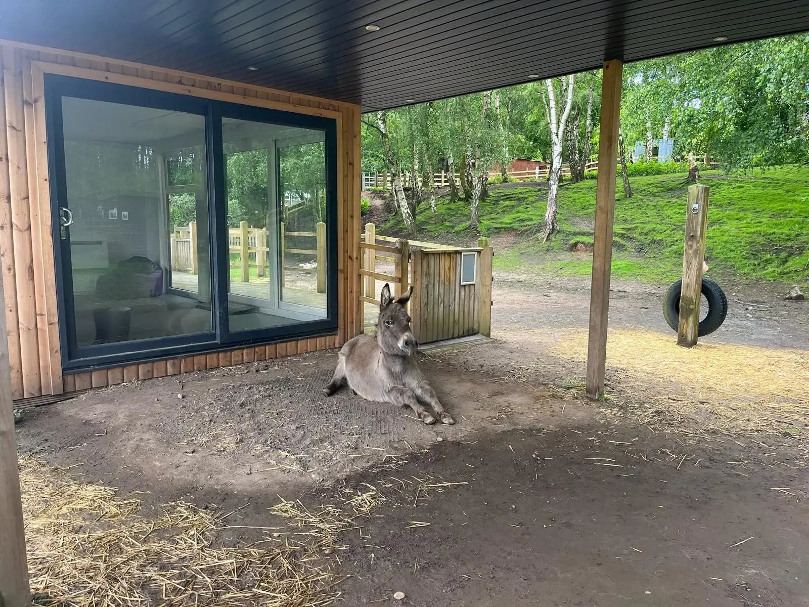 Cabins for Schools 5m x 3.5m Redwood, 5m Veranda - Portland College - AMA pics with Donkey 2024_2