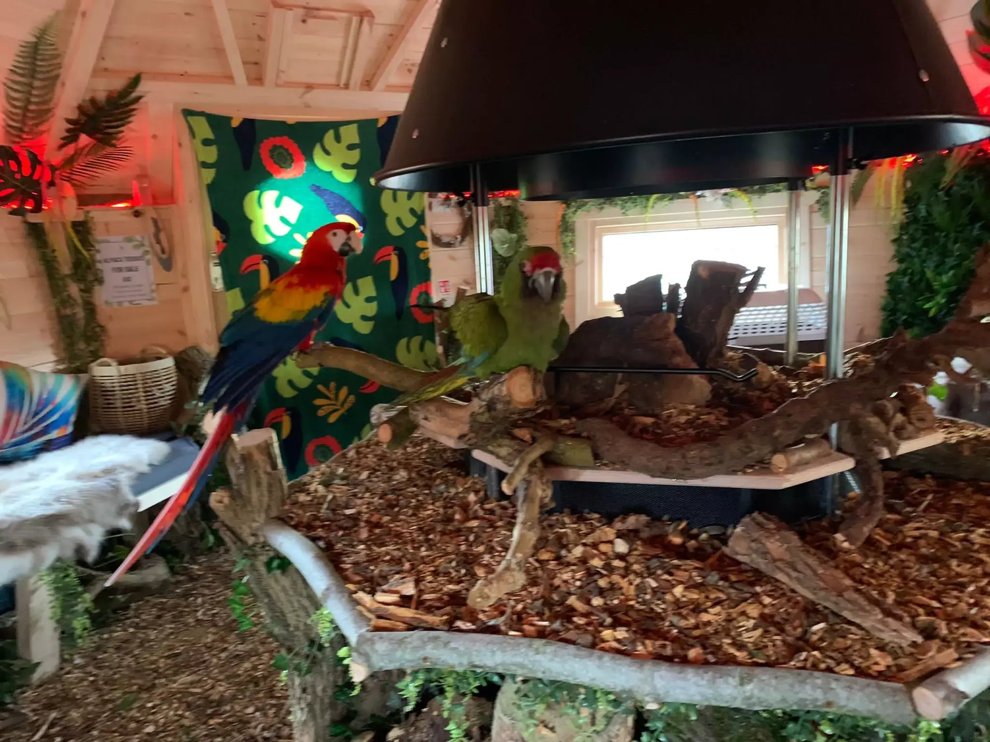 Nanny Sharon's alpaca farm log cabins 