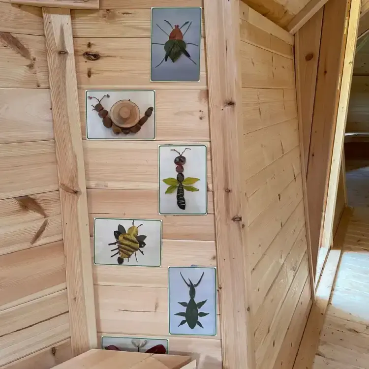 forest school log cabin